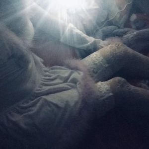 白鹿黄色一级片
