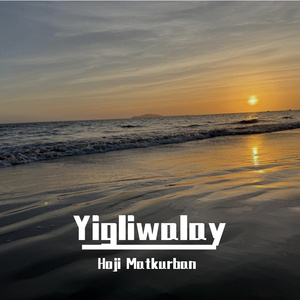 白鹿黄色一级片
