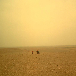 白鹿黄色一级片
