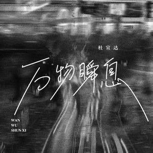 白鹿黄色一级片
