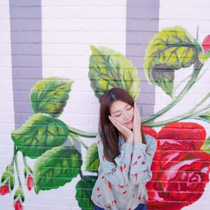 白鹿黄色一级片
